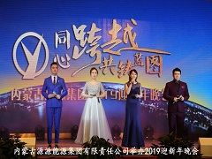 2019年1月16日內蒙古源源能源集團舉辦“同心跨越 共鑄藍圖”迎新晚會